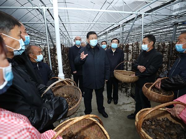 习近平总书记考察yl23411永利集团援建的金米村智能连栋木耳大棚
